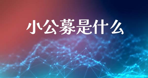 小公募是什么_https://wap.yjjixie.cn_商业资讯_第1张