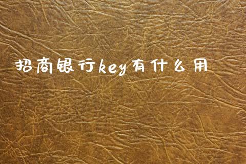 招商银行key有什么用_https://wap.yjjixie.cn_保险理财_第1张