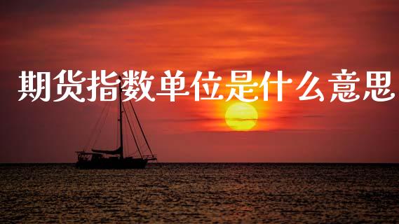 期货指数单位是什么意思_https://wap.yjjixie.cn_保险理财_第1张