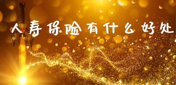 人寿保险有什么好处_https://wap.yjjixie.cn_保险理财_第1张