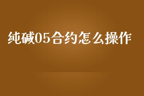 纯碱05合约怎么操作_https://wap.yjjixie.cn_港股行情_第1张