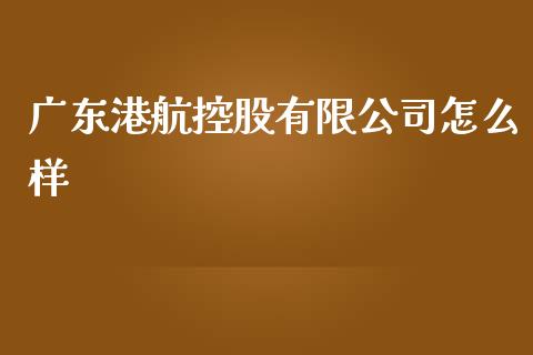 广东港航控股有限公司怎么样_https://wap.yjjixie.cn_保险理财_第1张