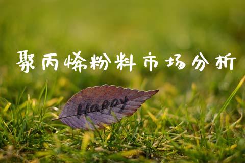 聚丙烯粉料市场分析_https://wap.yjjixie.cn_保险理财_第1张