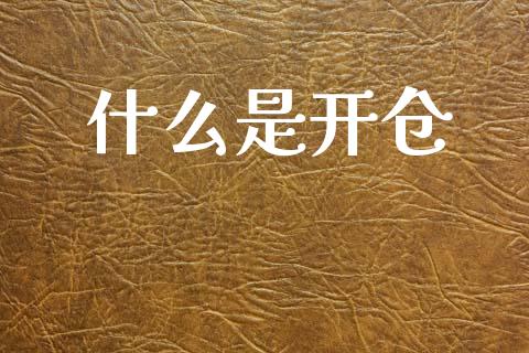 什么是开仓_https://wap.yjjixie.cn_商业资讯_第1张
