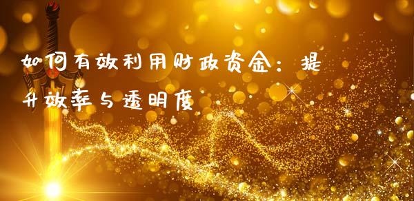 如何有效利用财政资金：提升效率与透明度_https://wap.yjjixie.cn_证券市场_第1张