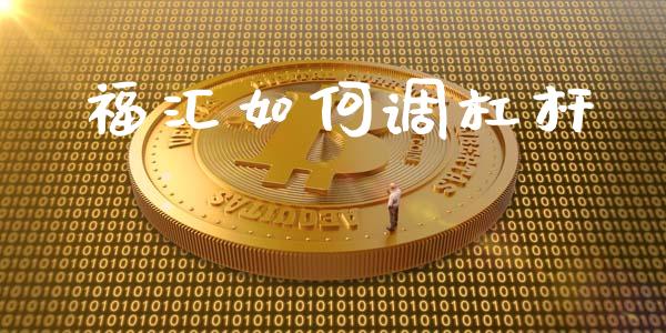 福汇如何调杠杆_https://wap.yjjixie.cn_证券市场_第1张