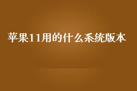 苹果11用的什么系统版本_https://wap.yjjixie.cn_证券市场_第1张