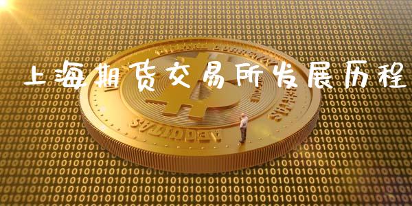 上海期货交易所发展历程_https://wap.yjjixie.cn_商业资讯_第1张