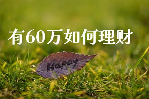 有60万如何理财_https://wap.yjjixie.cn_证券市场_第1张