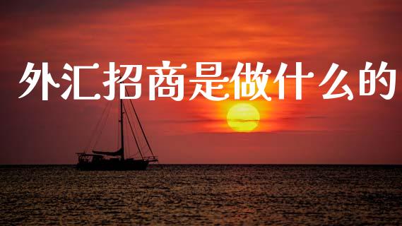 外汇招商是做什么的_https://wap.yjjixie.cn_商业资讯_第1张