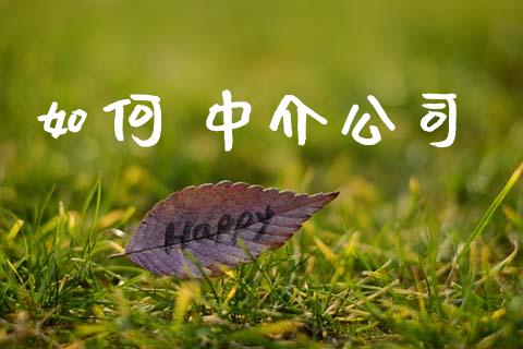 如何 中介公司_https://wap.yjjixie.cn_港股行情_第1张