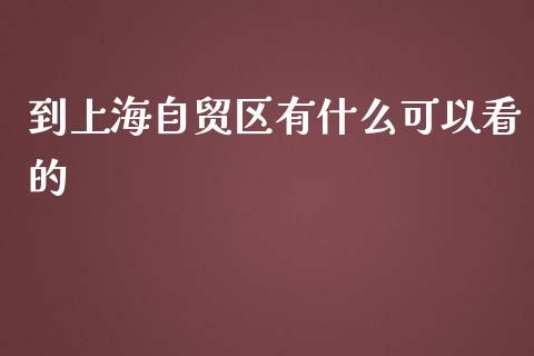 到上海自贸区有什么可以看的_https://wap.yjjixie.cn_证券市场_第1张