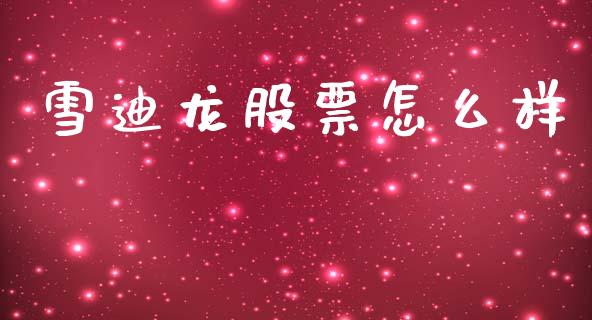 雪迪龙股票怎么样_https://wap.yjjixie.cn_证券市场_第1张