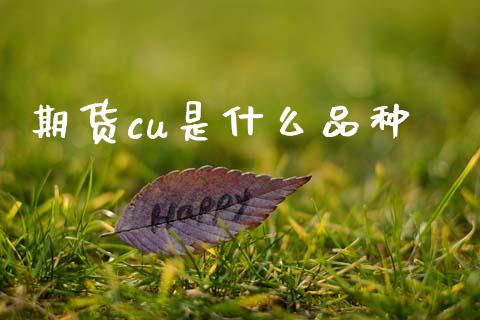 期货cu是什么品种_https://wap.yjjixie.cn_港股行情_第1张