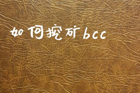 如何挖矿bcc_https://wap.yjjixie.cn_证券市场_第1张