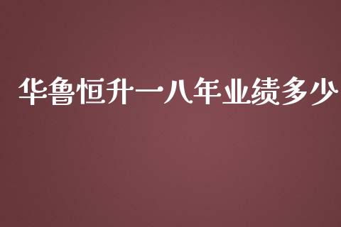 华鲁恒升一八年业绩多少_https://wap.yjjixie.cn_保险理财_第1张