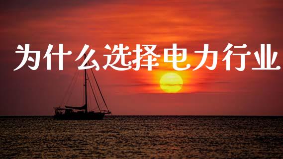 为什么选择电力行业_https://wap.yjjixie.cn_保险理财_第1张