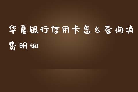 华夏银行信用卡怎么查询消费明细_https://wap.yjjixie.cn_证券市场_第1张