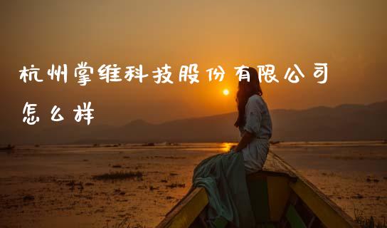 杭州掌维科技股份有限公司怎么样_https://wap.yjjixie.cn_保险理财_第1张