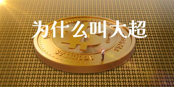 为什么叫大超_https://wap.yjjixie.cn_证券市场_第1张