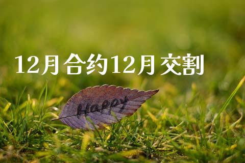 12月合约12月交割_https://wap.yjjixie.cn_保险理财_第1张