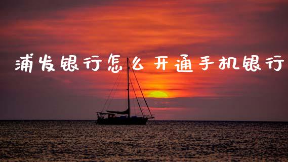 浦发银行怎么开通手机银行_https://wap.yjjixie.cn_港股行情_第1张