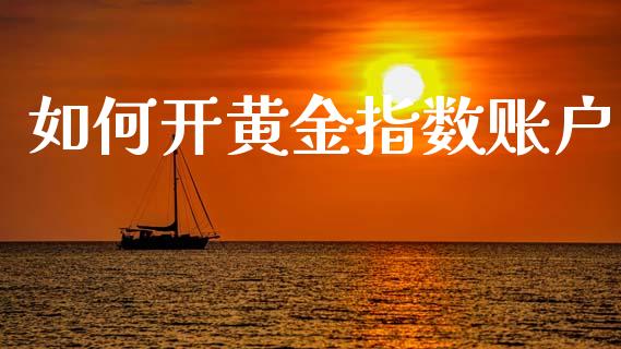如何开黄金指数账户_https://wap.yjjixie.cn_保险理财_第1张