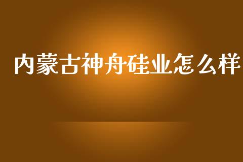 内蒙古神舟硅业怎么样_https://wap.yjjixie.cn_证券市场_第1张