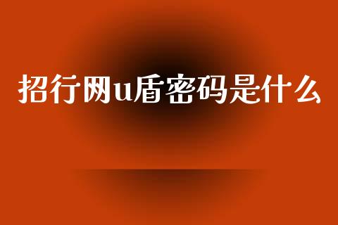 招行网u盾密码是什么_https://wap.yjjixie.cn_保险理财_第1张