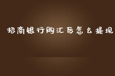 招商银行购汇后怎么提现_https://wap.yjjixie.cn_证券市场_第1张