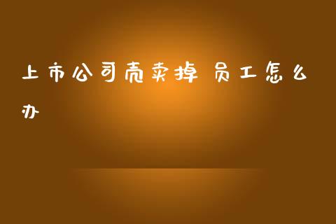 上市公司壳卖掉 员工怎么办_https://wap.yjjixie.cn_保险理财_第1张