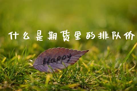 什么是期货里的排队价_https://wap.yjjixie.cn_证券市场_第1张