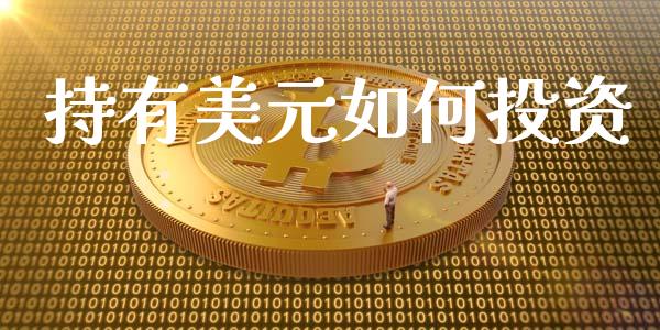 持有美元如何投资_https://wap.yjjixie.cn_商业资讯_第1张