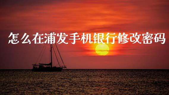 怎么在浦发手机银行修改密码_https://wap.yjjixie.cn_证券市场_第1张