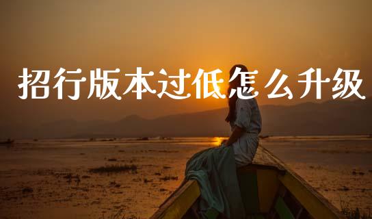 招行版本过低怎么升级_https://wap.yjjixie.cn_商业资讯_第1张