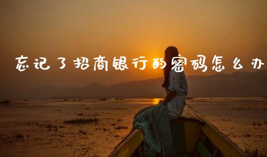 忘记了招商银行的密码怎么办_https://wap.yjjixie.cn_港股行情_第1张