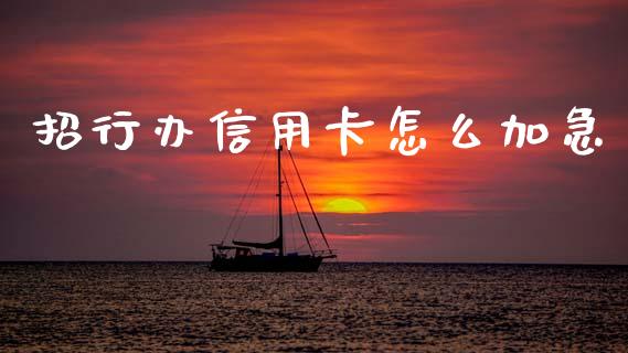 招行办信用卡怎么加急_https://wap.yjjixie.cn_保险理财_第1张