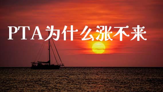 PTA为什么涨不来_https://wap.yjjixie.cn_港股行情_第1张
