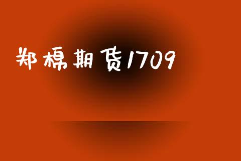 郑棉期货1709_https://wap.yjjixie.cn_保险理财_第1张