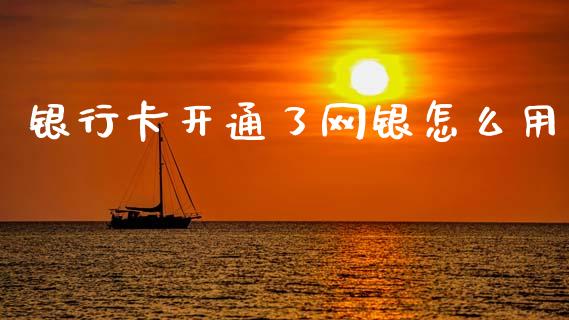 银行卡开通了网银怎么用_https://wap.yjjixie.cn_商业资讯_第1张