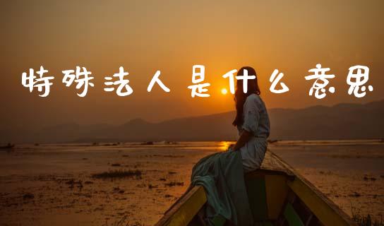 特殊法人是什么意思_https://wap.yjjixie.cn_商业资讯_第1张