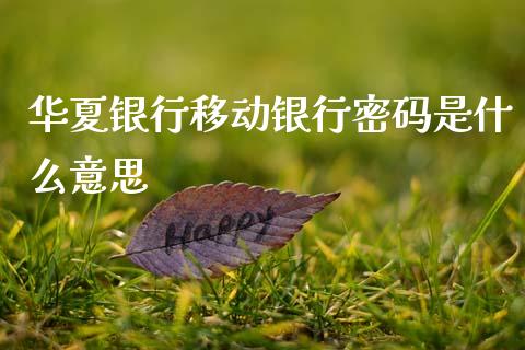 华夏银行移动银行密码是什么意思_https://wap.yjjixie.cn_保险理财_第1张