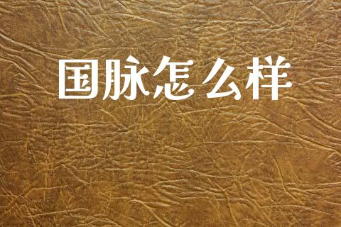 国脉怎么样_https://wap.yjjixie.cn_港股行情_第1张