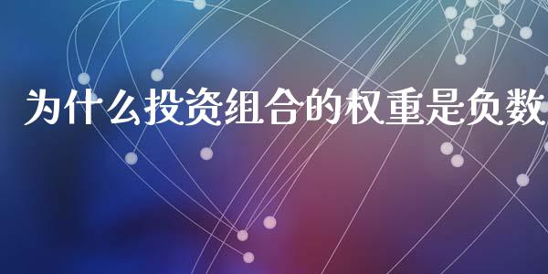 为什么投资组合的权重是负数_https://wap.yjjixie.cn_商业资讯_第1张