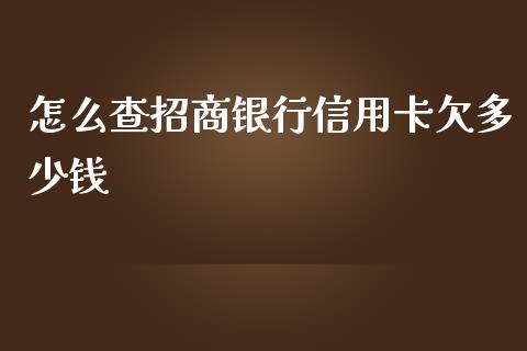 怎么查招商银行信用卡欠多少钱_https://wap.yjjixie.cn_证券市场_第1张