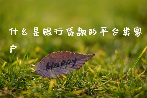 什么是银行贷款的平台类客户_https://wap.yjjixie.cn_证券市场_第1张