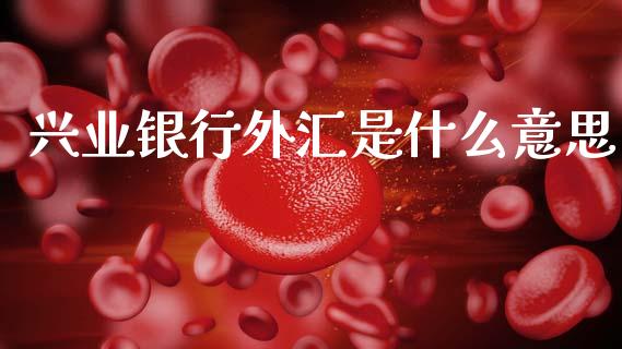 兴业银行外汇是什么意思_https://wap.yjjixie.cn_证券市场_第1张