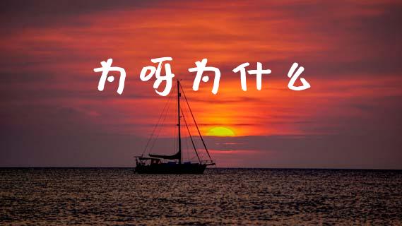 为呀为什么_https://wap.yjjixie.cn_证券市场_第1张