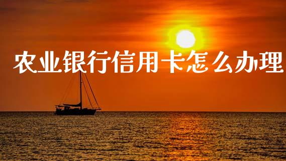 农业银行信用卡怎么办理_https://wap.yjjixie.cn_证券市场_第1张