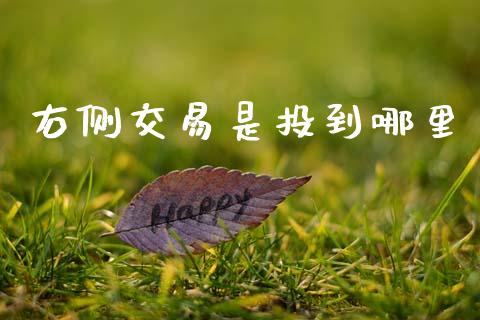 右侧交易是投到哪里_https://wap.yjjixie.cn_保险理财_第1张